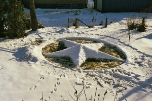 Snöstjärna /Snow Star 2013